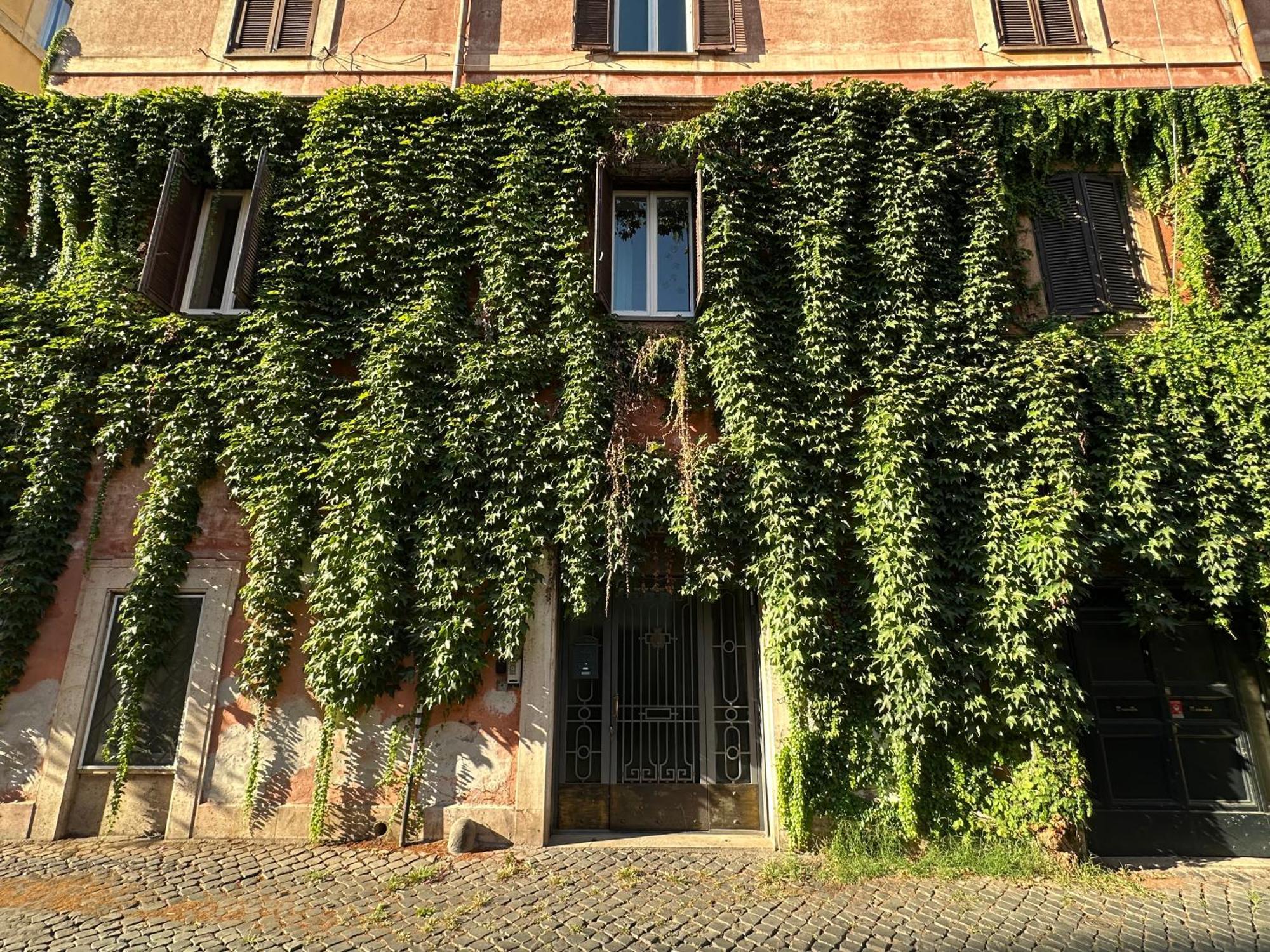 Bruno Domus Trastevere, Rome
